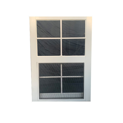 Customizable Color Stainless Steel Frame Aluminum Double Glazed Windows for Benefit