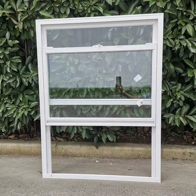 Steel Grid Glazing Glass Black Aluminum Frame Custom Single Hung Windows for Leisure Facilities