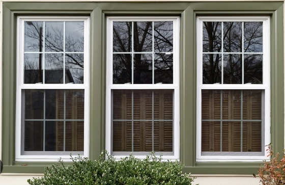 Curtain Type Roller blind Window Hanging for Powder Coated Upvc Double Glaze Window