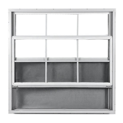 Apartment Single Hung Window with Plastic Frame and Curtain Type Roller Blind